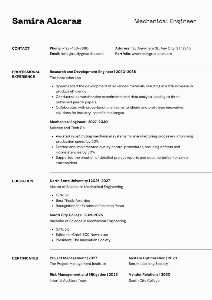 ATS-optimized CV example
